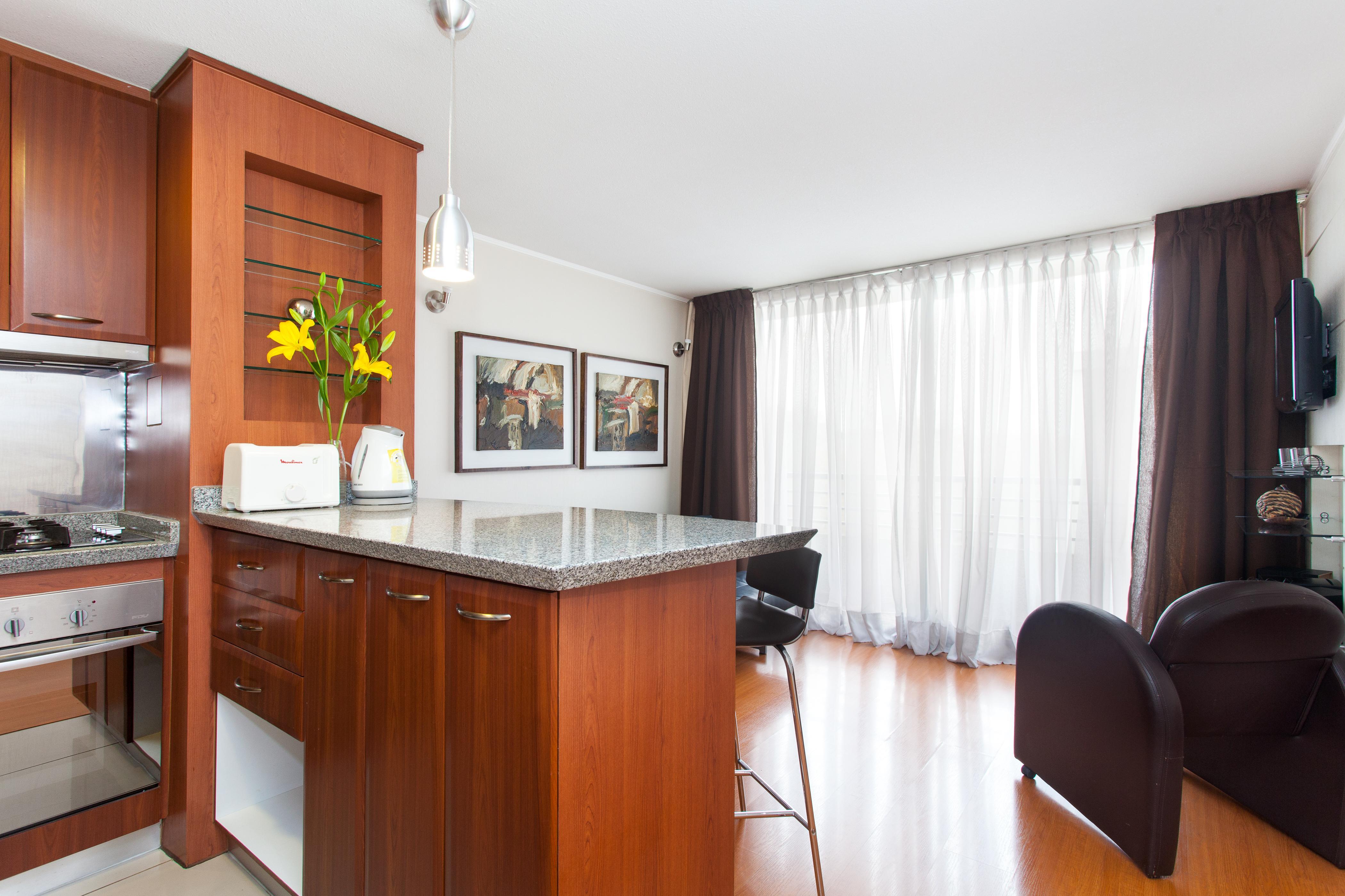 Apart Hotel Cambiaso Σαντιάγκο Εξωτερικό φωτογραφία